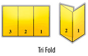 Brochure Tri-Fold or Letter-fold